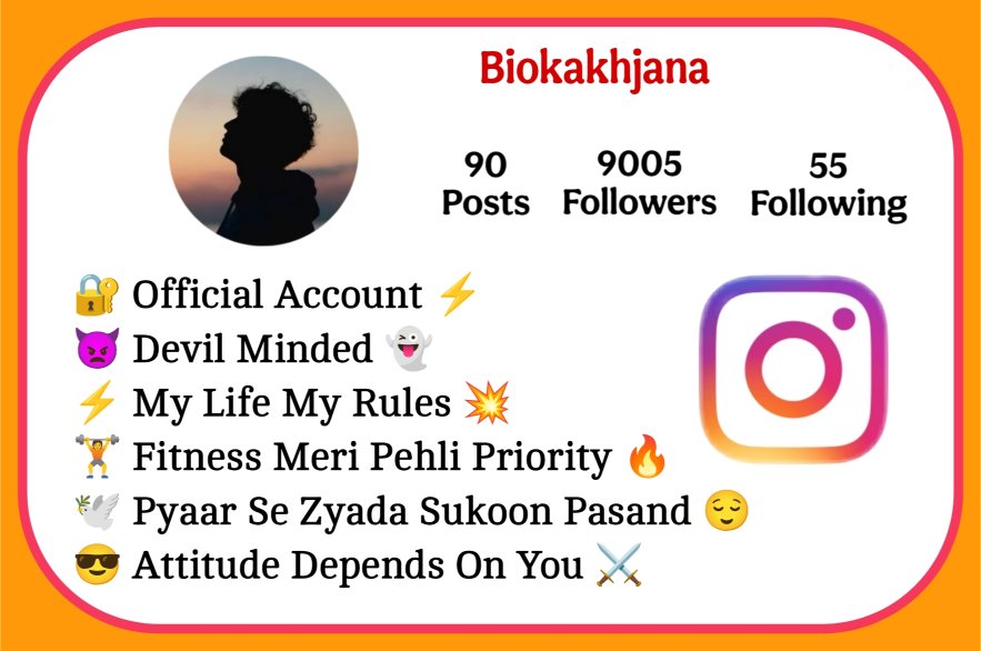 Instagram Bio For Alone Boys