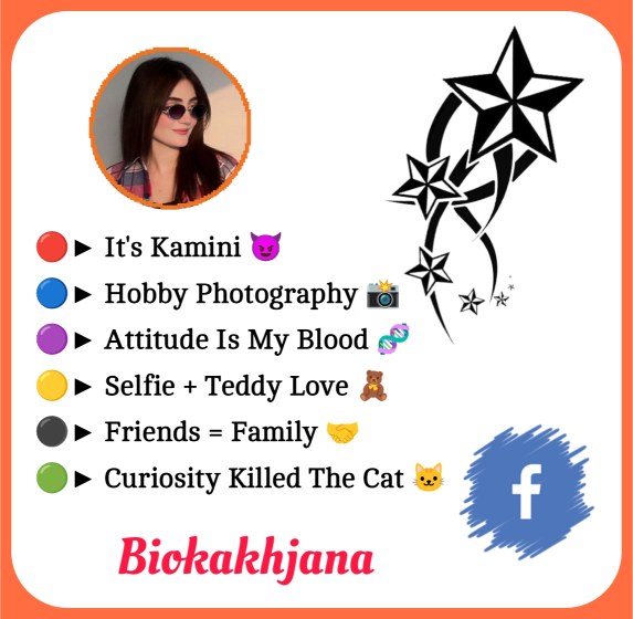 Facebook Bio For Girls Attitude