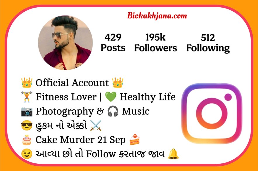 Instagram Bio In Gujarati