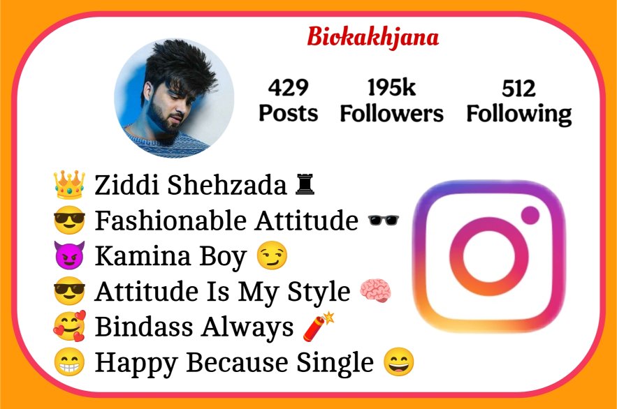 Instagram Bio Me Kya Likhe